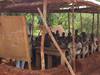 Im Internet für 6. Grundschulbau in Benin spenden!-1