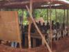 Im Internet für 6. Grundschulbau in Benin spenden!-2