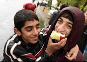 Apfelernte für Flüchtlinge-1