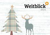 Weitblick Berlin Newsletter 2017-1